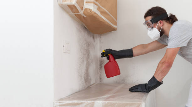 Professional Bathroom Mold Removal technician working in Haskell, TX
